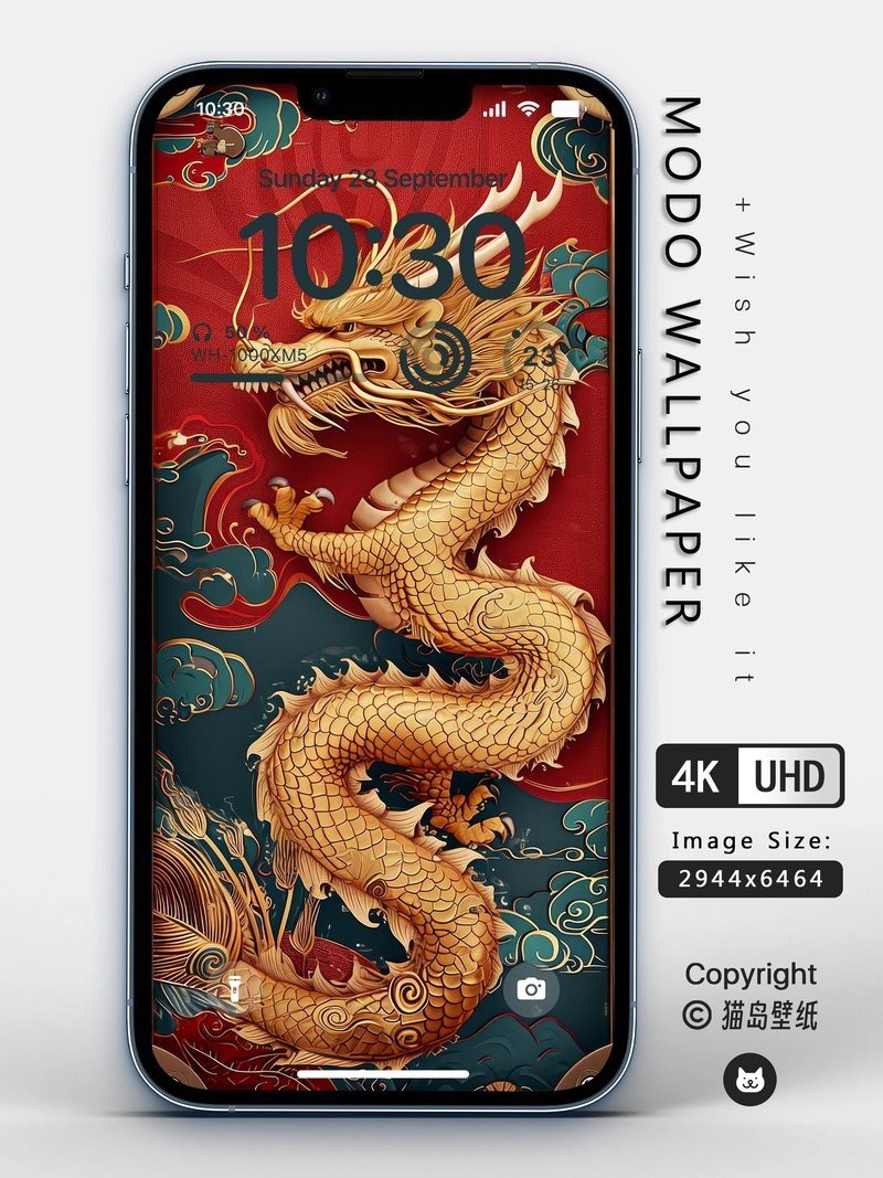 金龍頭像圖片有哪些尺寸|金龍頭像圖片常見尺寸包括：其他尺寸可能通過第三方工具調整生成