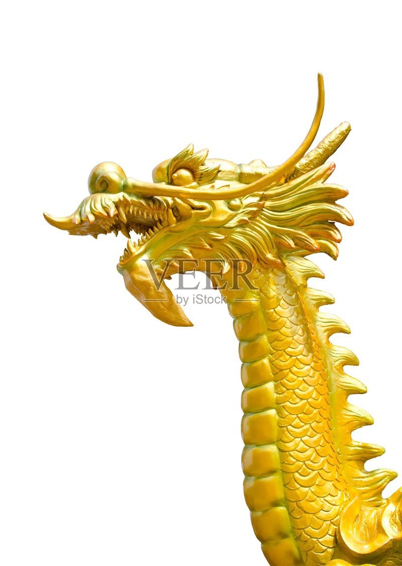 金龍頭像圖片有哪些尺寸|金龍頭像圖片常見尺寸包括：其他尺寸可能通過第三方工具調整生成