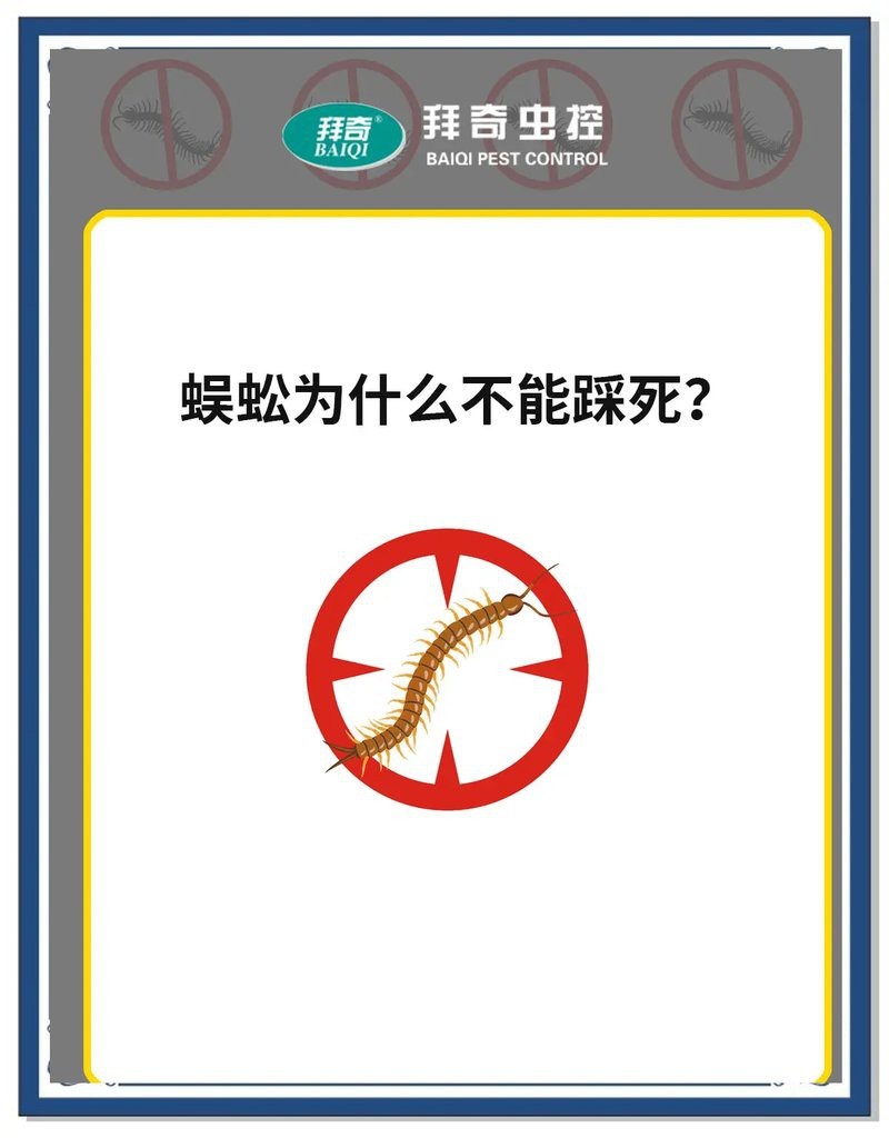 蜈蚣為什么不能打死|關于蜈蚣不宜直接打死的原因，科學解釋、生態影響及安全考量