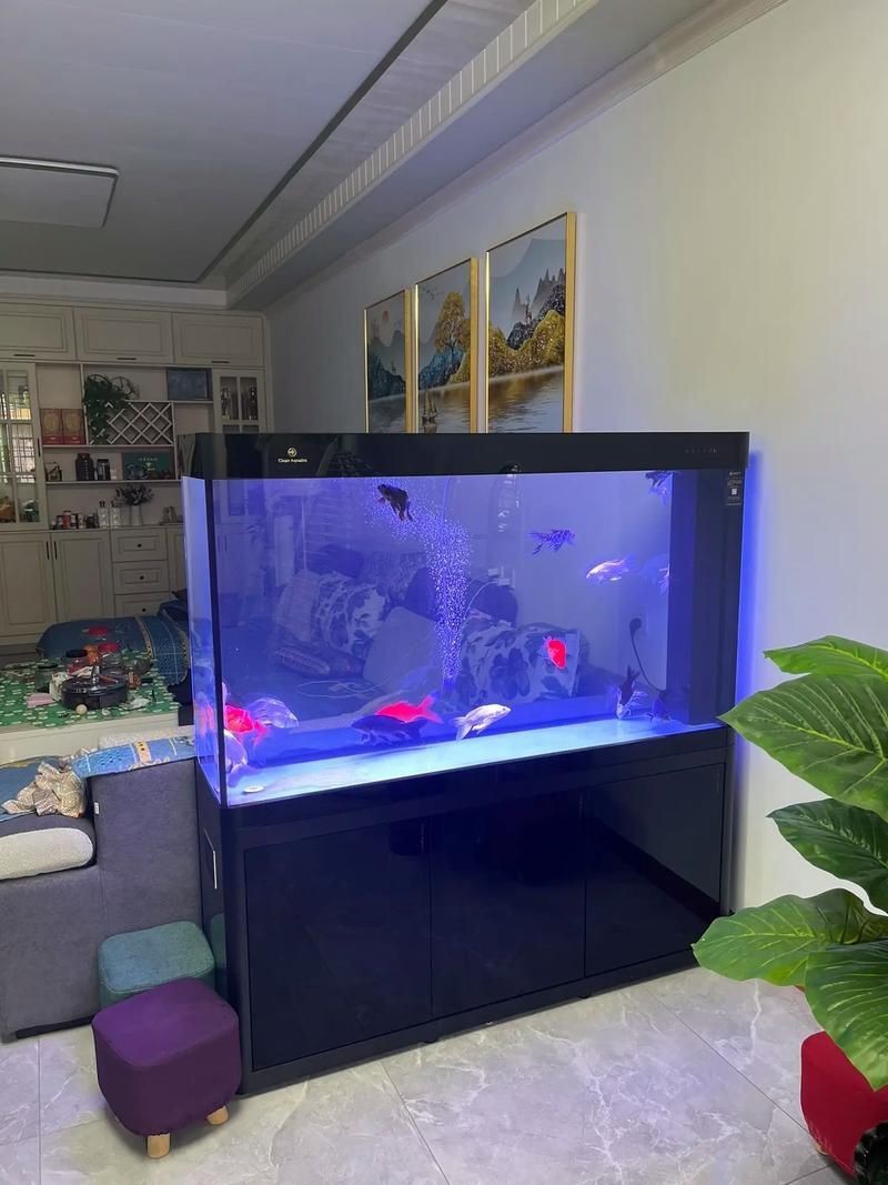 可麗愛魚缸安裝圖解|可麗愛魚缸如何安裝