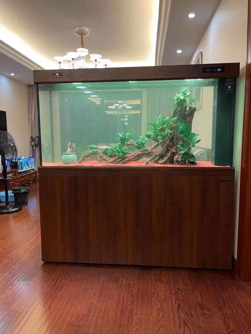 可麗愛魚缸安裝圖解|可麗愛魚缸如何安裝