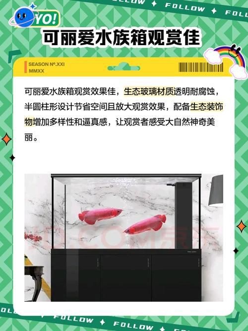 可麗愛魚缸安裝圖解|可麗愛魚缸如何安裝