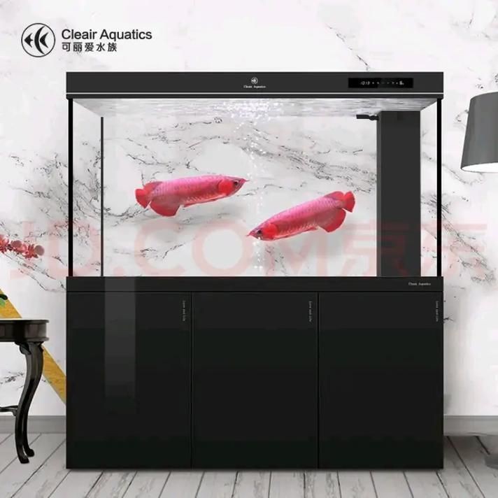 可麗愛魚缸安裝圖解|可麗愛魚缸如何安裝