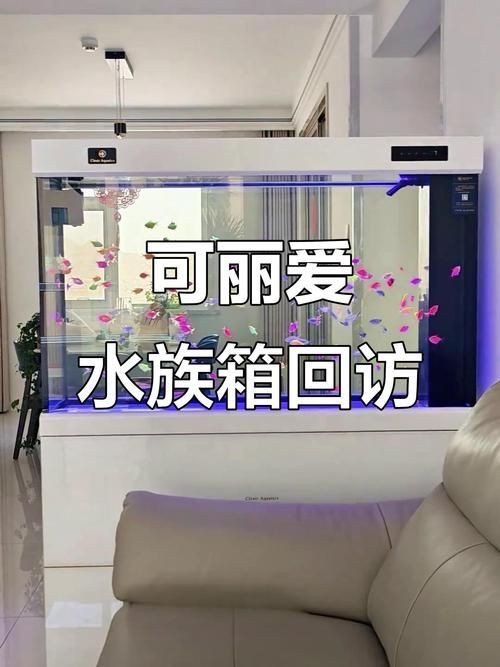 可麗愛魚缸安裝圖解|可麗愛魚缸如何安裝