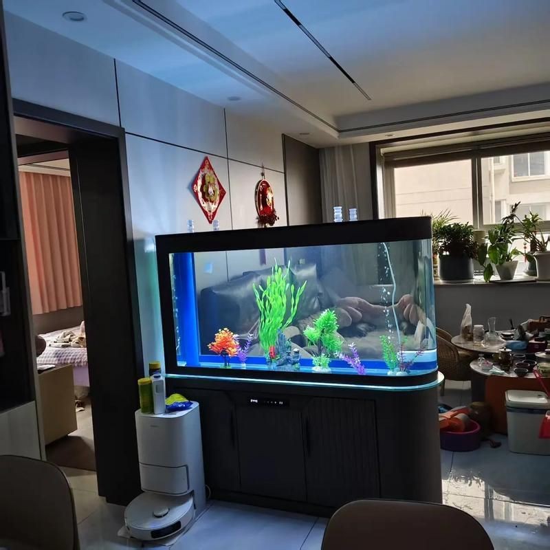 可麗愛魚缸安裝圖解|可麗愛魚缸如何安裝