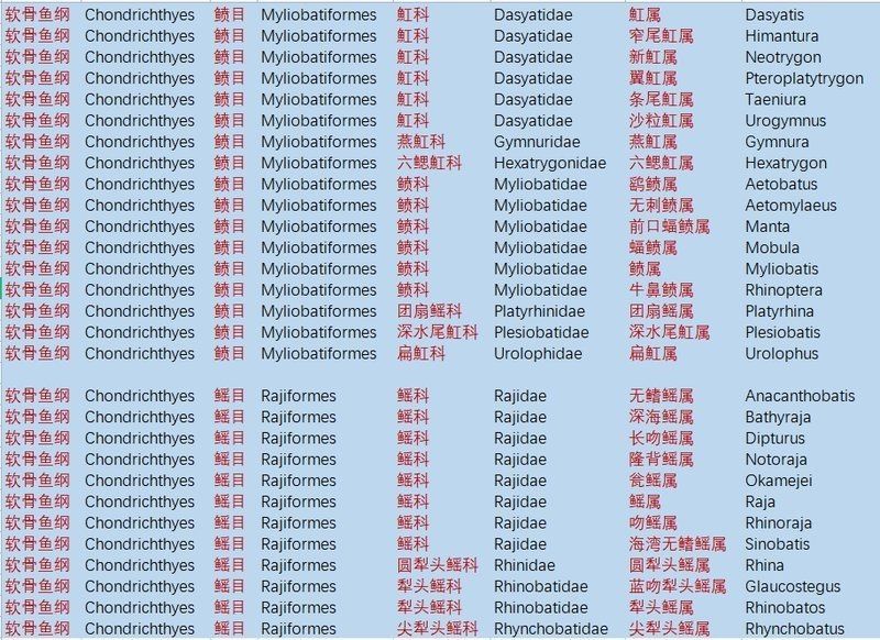 魔鬼魚是電鰩魚嗎？，海洋中究竟誰才是“魔鬼魚”蝠鲼、鰩魚、鰩魚傻傻分不清楚