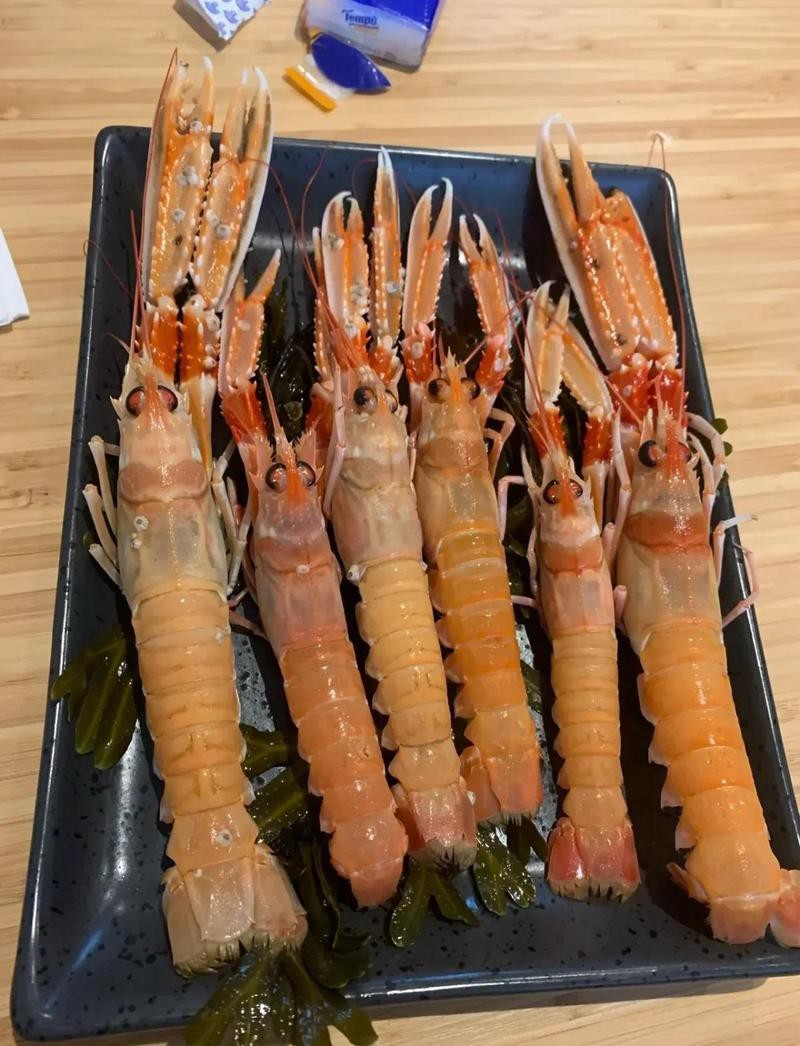 班戈龍魚店|班戈地區有哪些知名的水族店