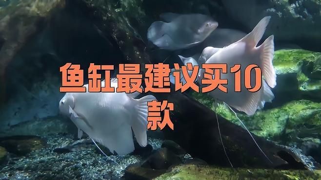 十大公認最好用的魚缸|2025年中國水族箱品牌十大排名旭日東升