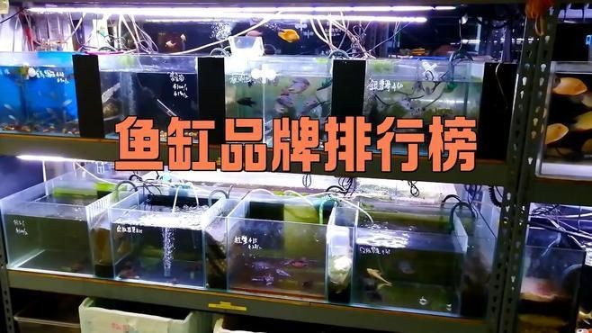 十大公認最好用的魚缸|2025年中國水族箱品牌十大排名旭日東升