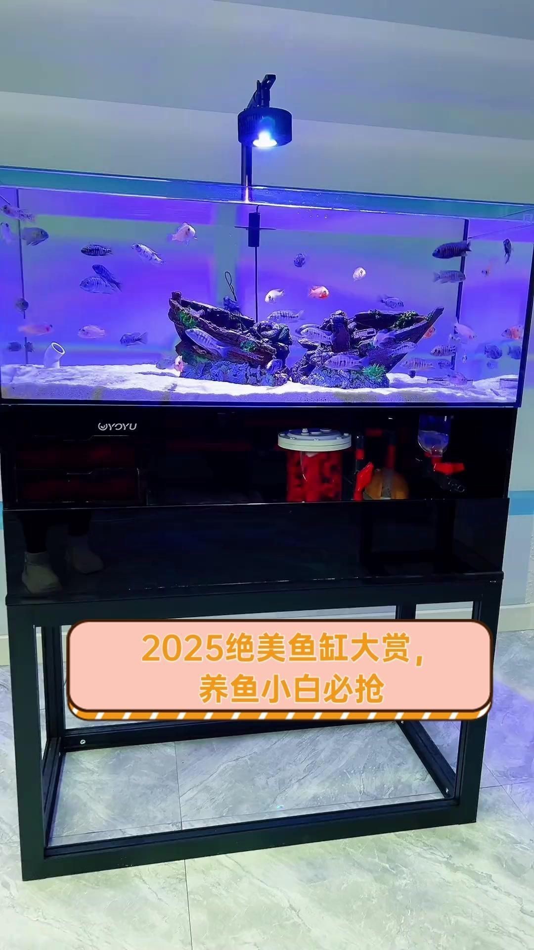 十大公認最好用的魚缸|2025年中國水族箱品牌十大排名旭日東升
