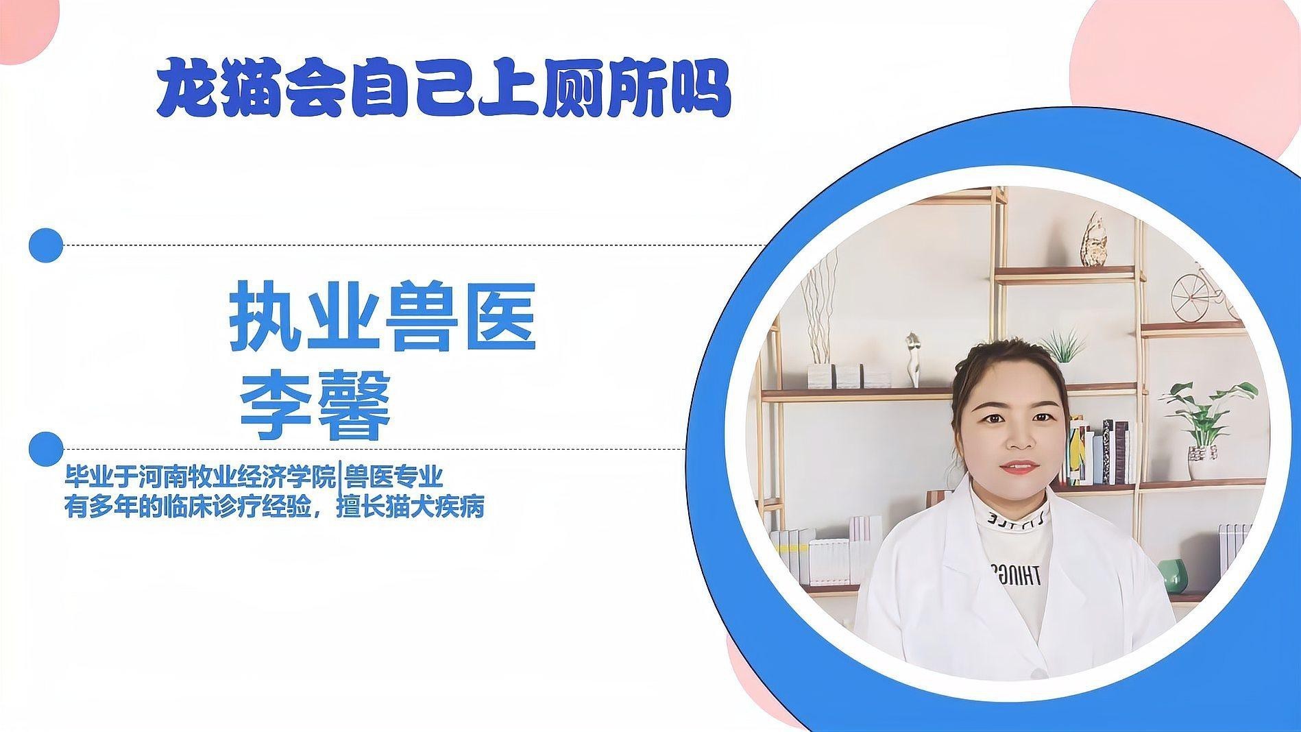 如何訓練龍貓在廁所排便？|如何訓練龍貓定點排泄