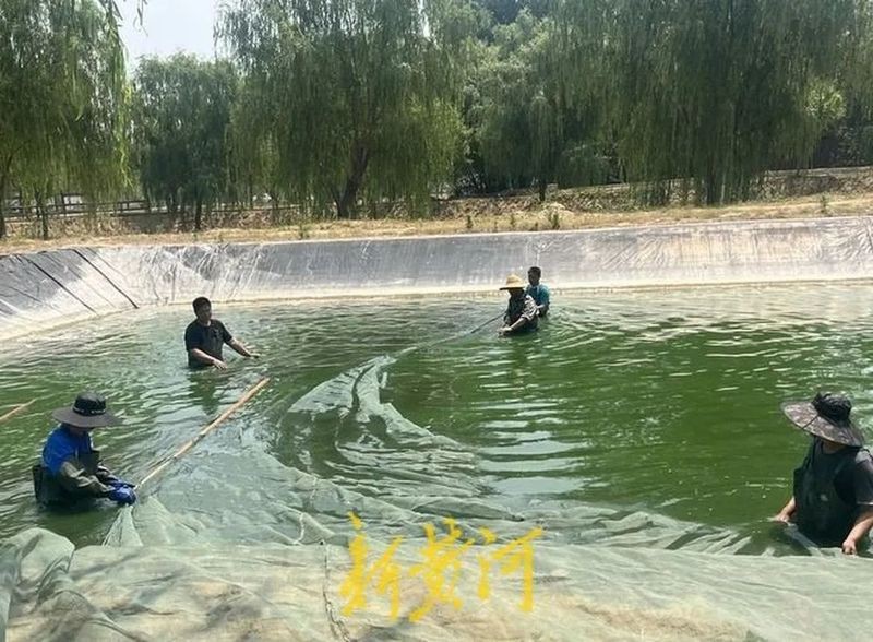 長清龍魚店|長清這家魚館讓我欲罷不能,讓我欲罷不能覆蓋民生全維度