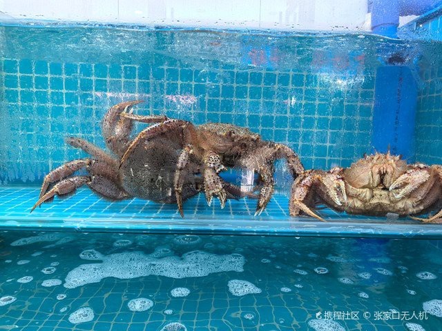 琿春龍魚店|(活力中國調(diào)研行)從深海到餐桌