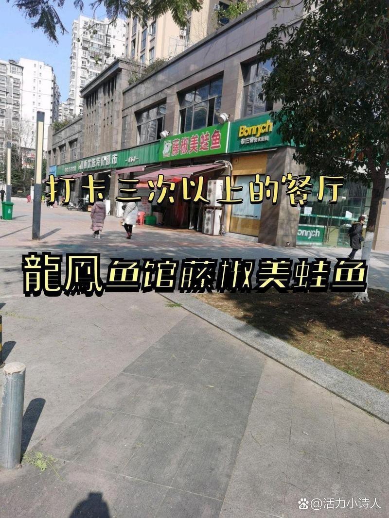 金鳳龍魚店|金鳳龍魚店的主營(yíng)產(chǎn)品有哪些金鳳龍魚店的主營(yíng)產(chǎn)品有哪些