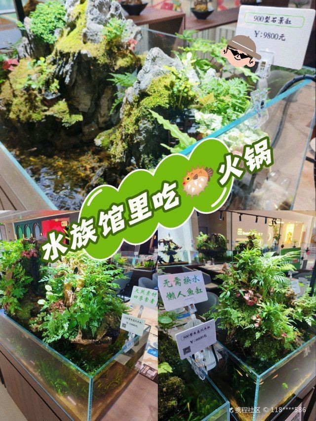 滁州水族店|關于滁州水族店的綜合信息整理