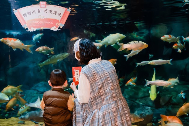 蘆山水族店|蘆山縣丹丹原生水族館(個體工商戶)愛企查