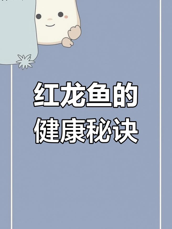 如何改善紅龍魚的狀態？|如何改善紅龍魚的狀態