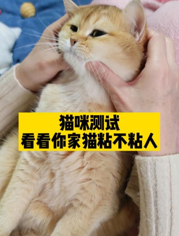 能否提供帝龍漁業的龍魚繁殖視頻，關于帝龍漁業的龍魚繁殖視頻
