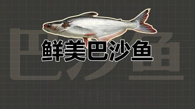 龍利魚和巴沙魚區別|巴沙魚和龍利魚的區別