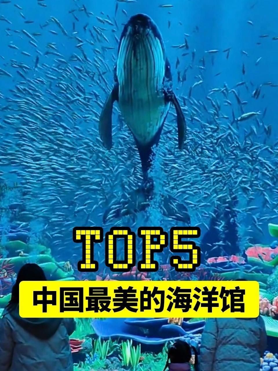 哪里的海洋世界最好看|國內海洋館體驗各有特色以下是綜合觀賞性、互動性和科技感的推薦