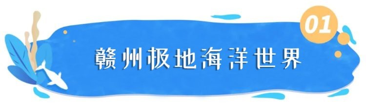 <strong><mark>遂川</mark></strong>水族店|<strong><mark>遂川</mark></strong>縣水族店相關信息主要集中在以下幾家店鋪結合經營狀態與特色為您梳理