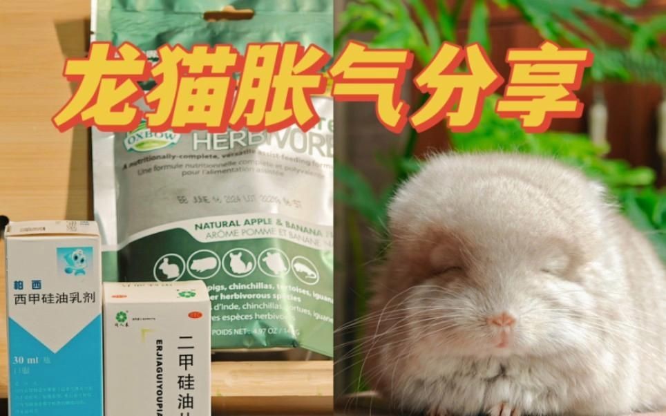 龍貓有哪些常見的疾病？|智能模式回答完成調用工具：百度健康龍貓患上常見疾病