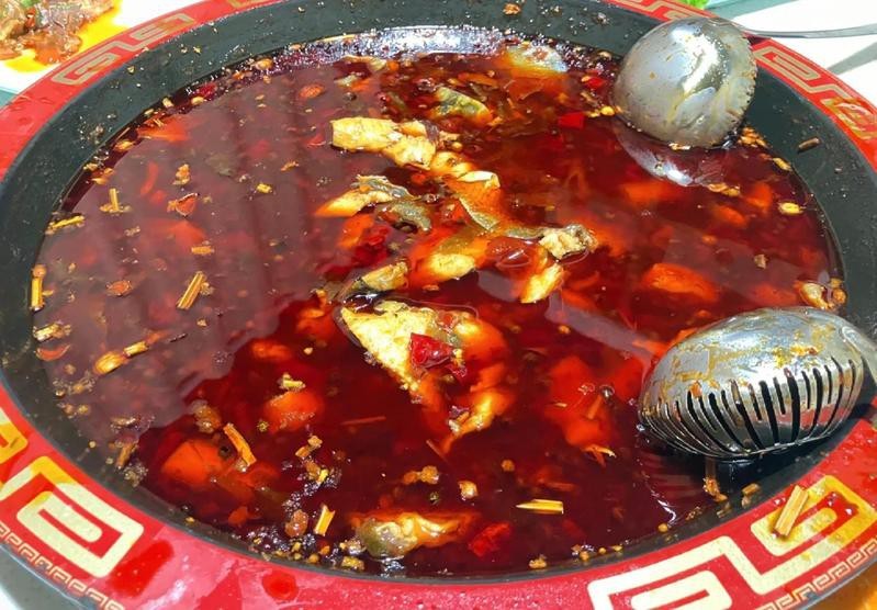 茂縣龍魚店|茂縣有沒有龍魚店