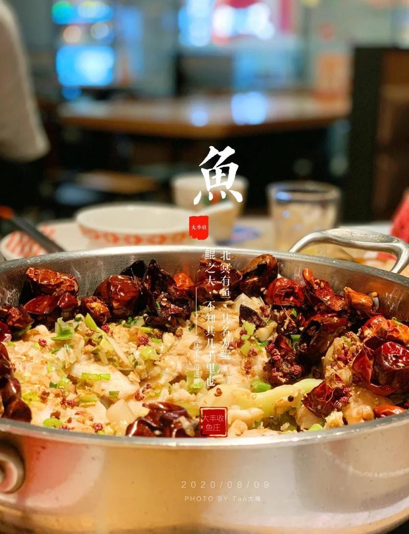 阜寧龍魚店|阜寧上海路的秘密寶藏，你去過嗎