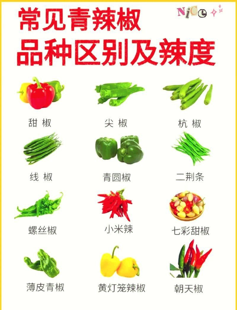 綠色辣椒品種一覽表|綠色辣椒品種分類