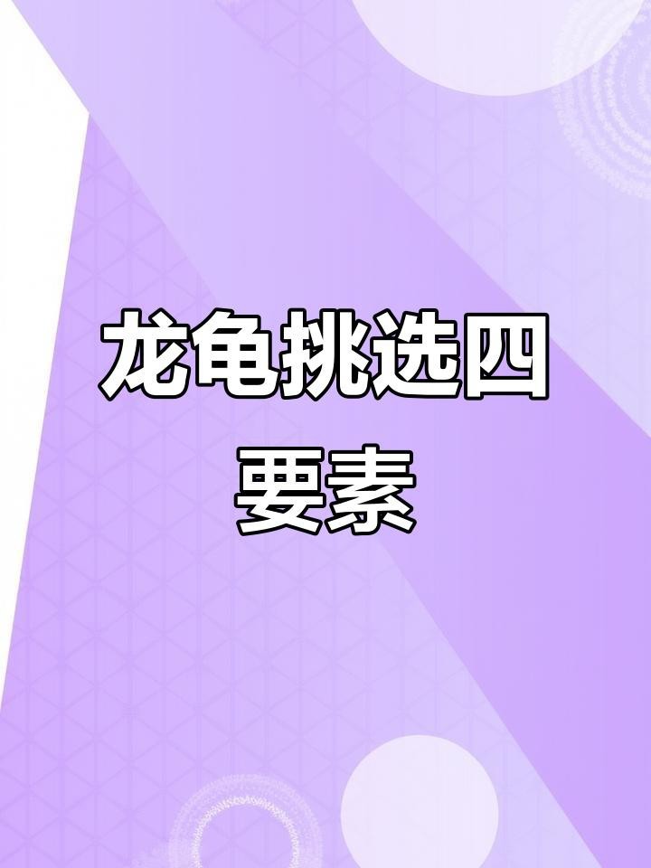 龍龜材質(zhì)如何選擇？|如何挑選和田玉龍龜