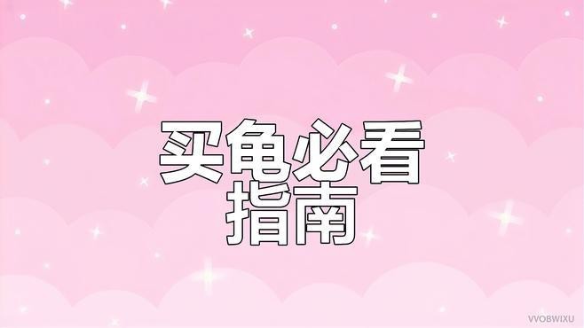龍龜材質(zhì)如何選擇？|如何挑選和田玉龍龜
