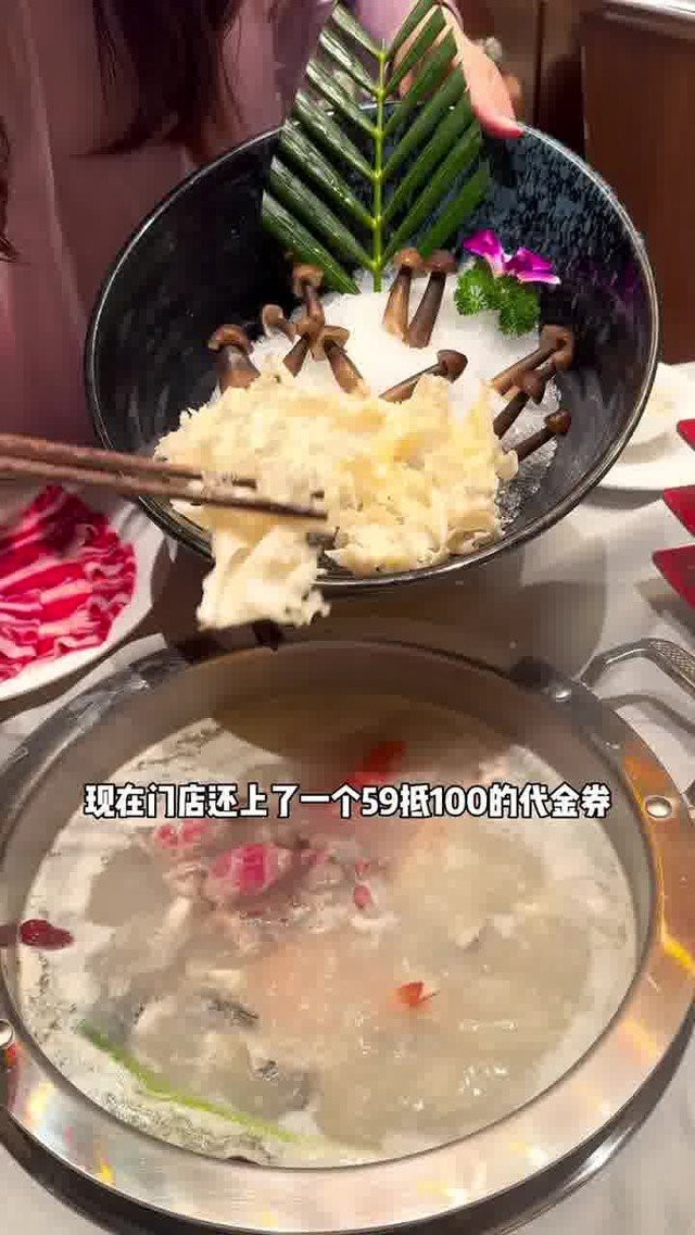 沁源龍魚店|沁源龍魚店沁源龍魚店有哪些特色品種品種品種 沁源龍魚店|沁源龍魚店沁源龍魚店有哪些特色品種品種品種 全國水族館企業名錄 第5張