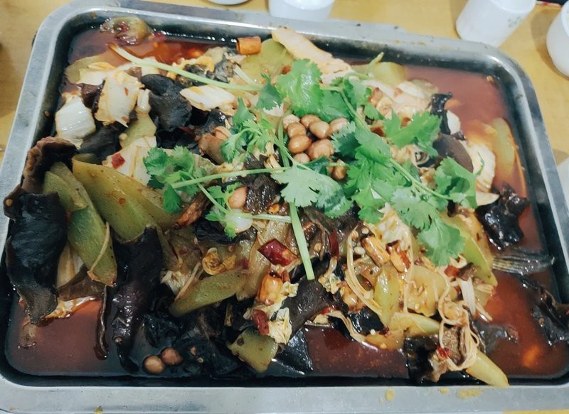 西疇龍魚店|西疇縣有沒有龍魚養殖場