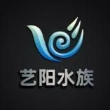 龍魚細菌感染能自愈嗎|揭秘水族箱里的健康謎團!