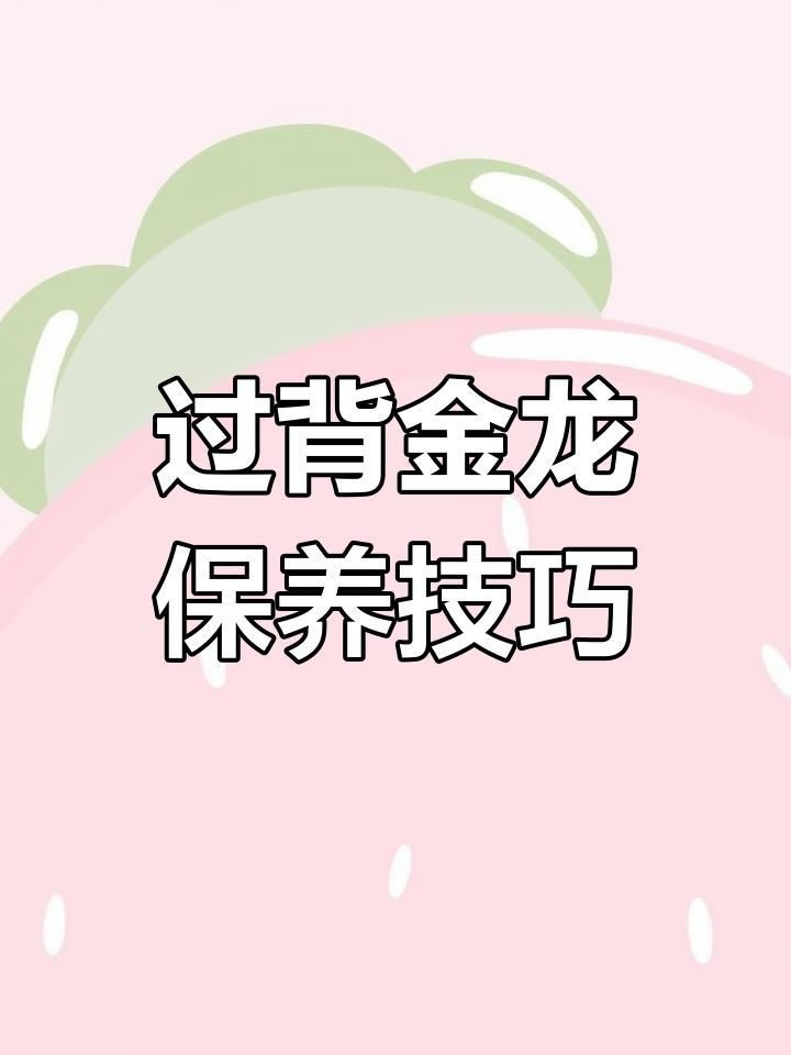 過背金龍金頭表現如何改善？|如何保持過背金龍魚的金色光澤