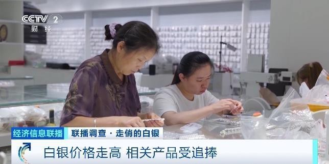 白銀區(qū)水族店|白銀區(qū)哪家水族店口碑最好