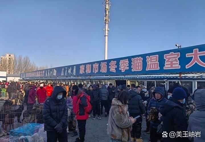鞍山水族店|鞍山市立山區寶來水族店