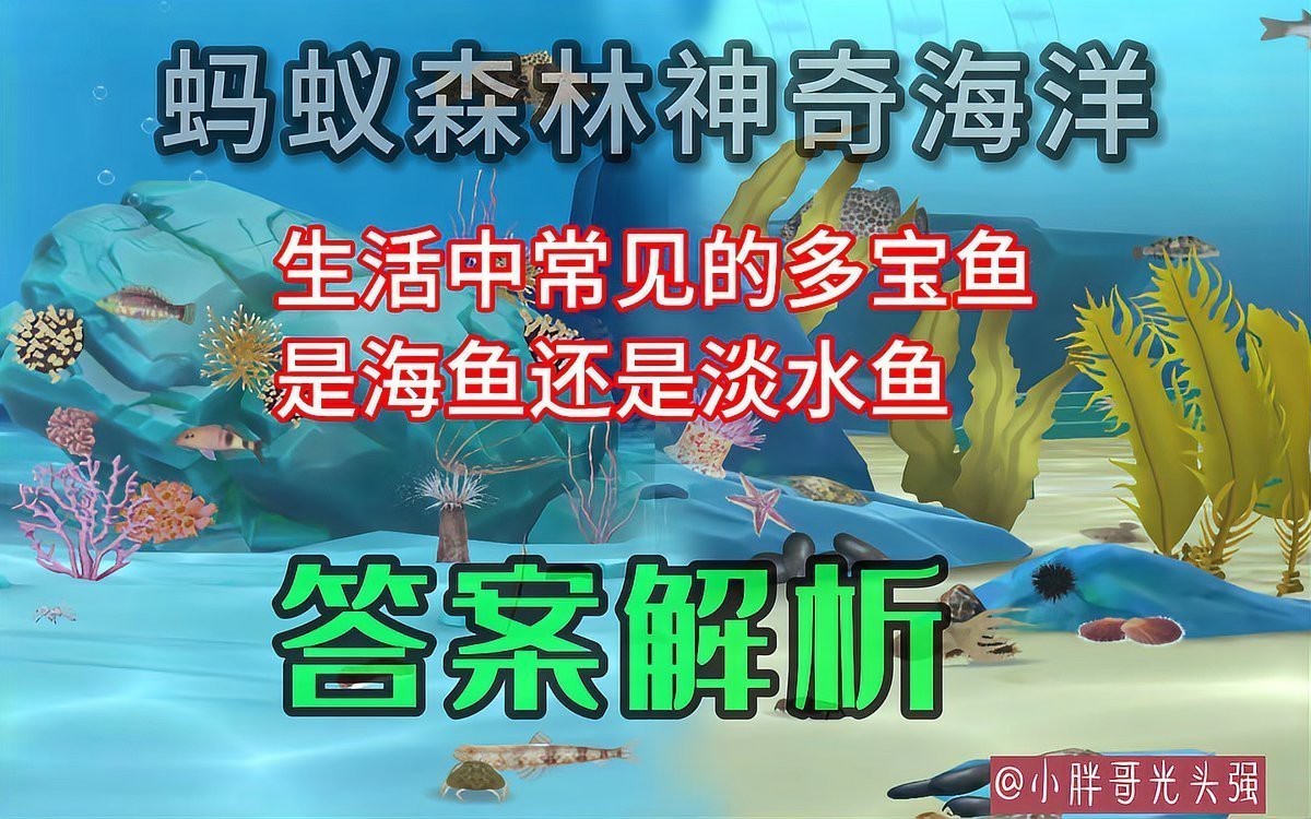 多寶魚屬于淡水魚還是海魚|多寶魚是海魚還是淡水魚