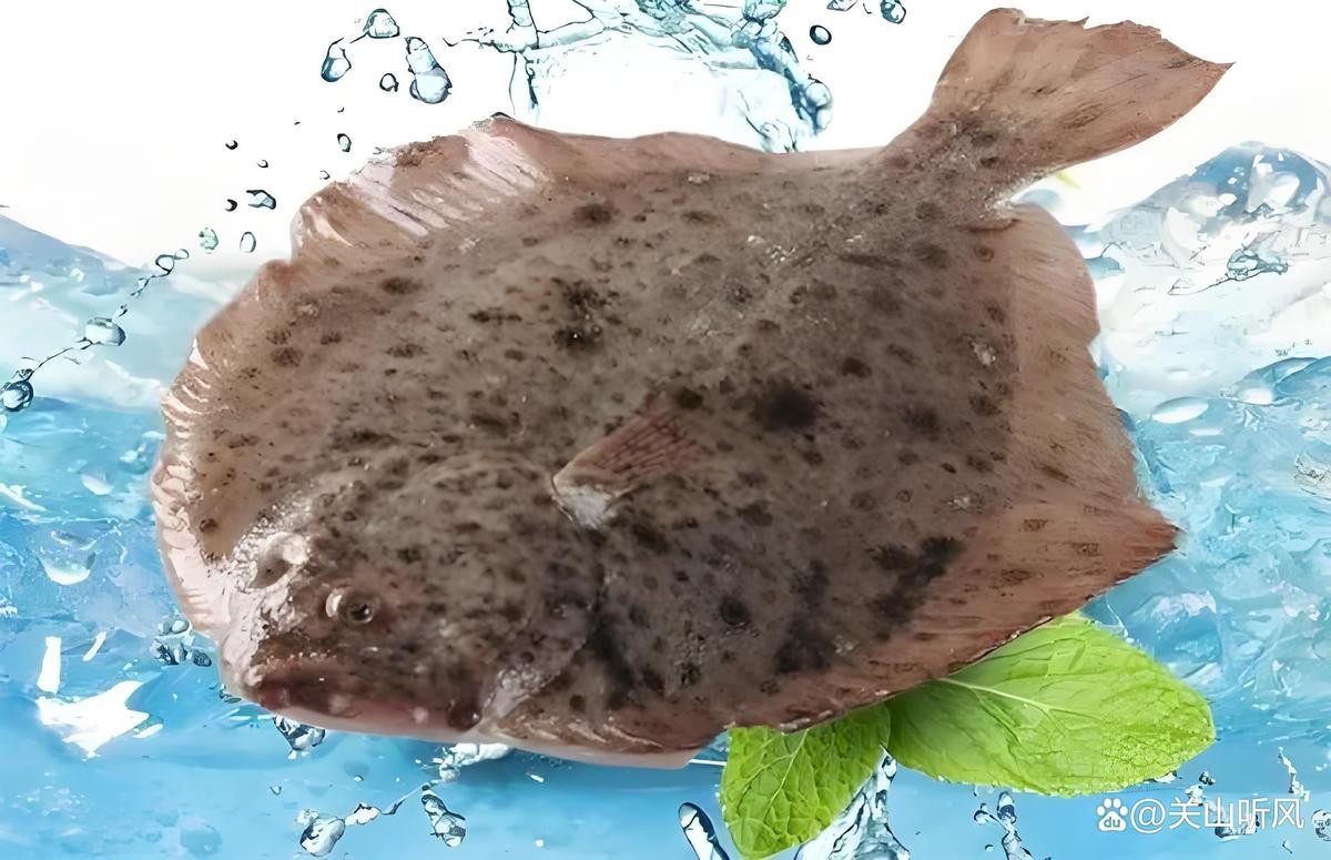 多寶魚屬于淡水魚還是海魚|多寶魚是海魚還是淡水魚