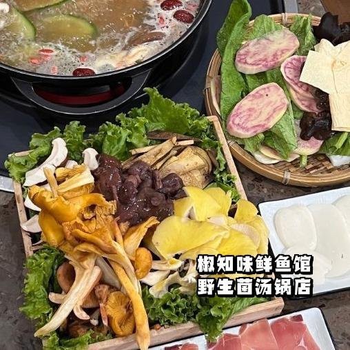 迪慶龍魚店|迪慶有沒有專業的龍魚店
