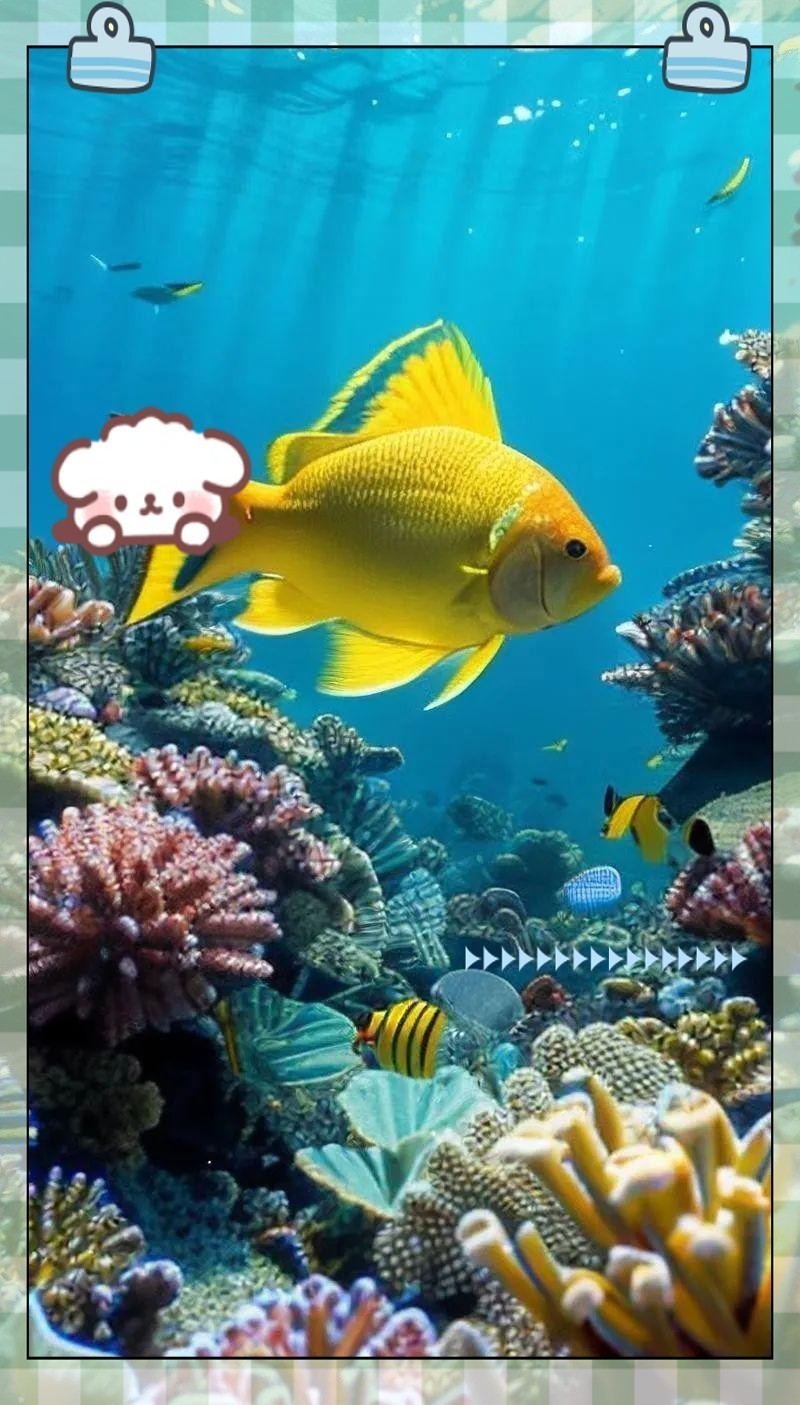 屬龍人家中養(yǎng)魚吉利嗎|關(guān)于屬龍人家中養(yǎng)魚的吉兇問(wèn)題，風(fēng)水命理領(lǐng)域存在不同觀點(diǎn)