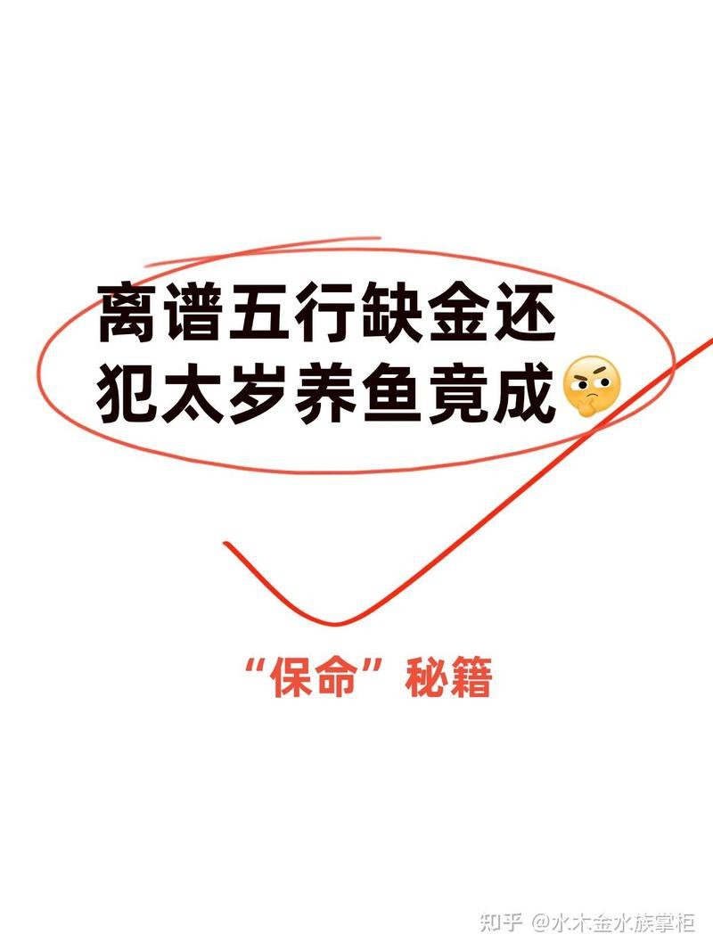 屬龍人家中養(yǎng)魚吉利嗎|關(guān)于屬龍人家中養(yǎng)魚的吉兇問(wèn)題，風(fēng)水命理領(lǐng)域存在不同觀點(diǎn)