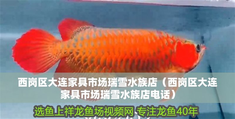 西崗水族店 西崗水族店 全國水族館企業名錄 第1張