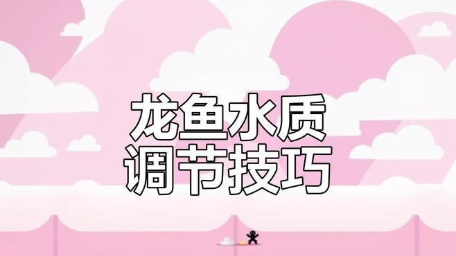 如何調整紅龍魚的水質？|養紅龍魚水質需綜合以下關鍵措施：紅龍魚水質問題解決全攻略