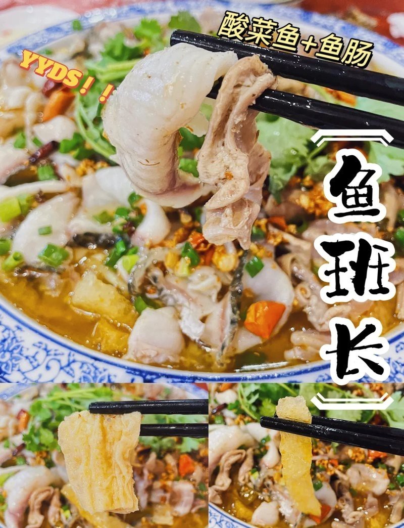澄海龍魚店|澄海地區與龍魚相關的商業和文化活動體現在以下方面 澄海龍魚店|澄海地區與龍魚相關的商業和文化活動體現在以下方面 全國水族館企業名錄 第2張
