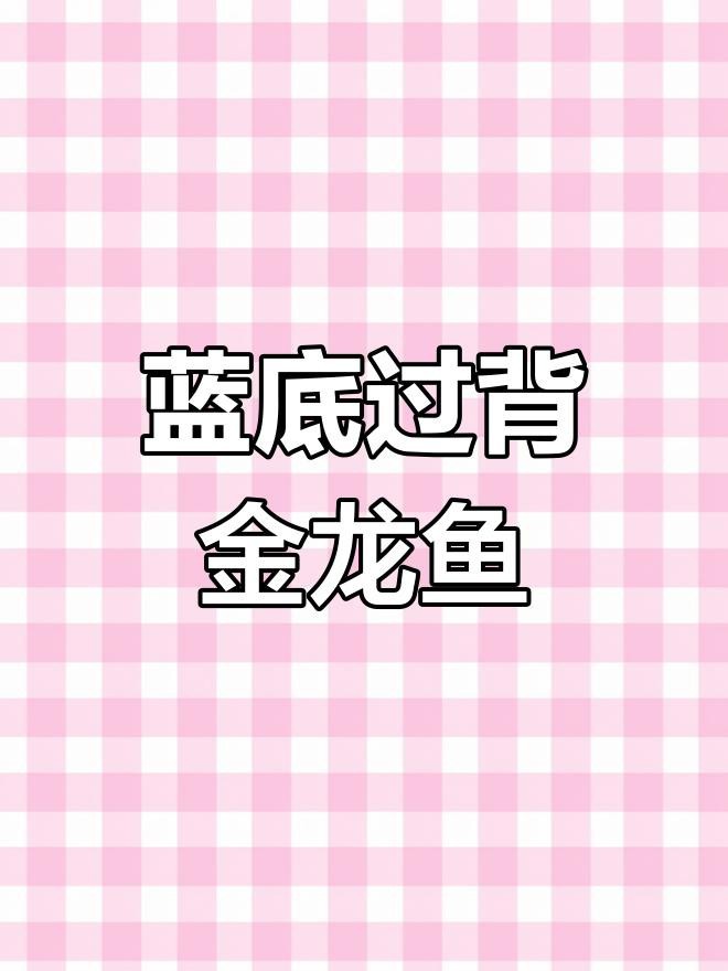 藍底過背金龍魚如何挑選?|古典藍底金龍篩選秘籍 龍魚論壇 第4張 藍底過背金龍魚如何挑選?|古典藍底金龍篩選秘籍 藍底過背金龍魚如何挑選?|古典藍底金龍篩選秘籍 龍魚論壇 第4張