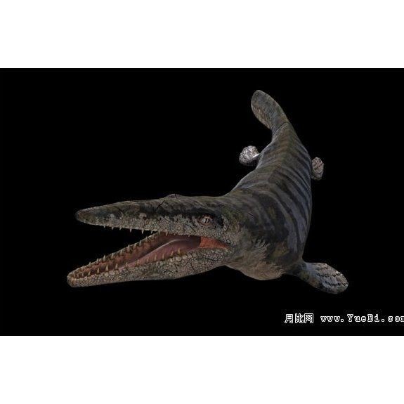 海龍王是什么動物|中國古代海龍王的歷史