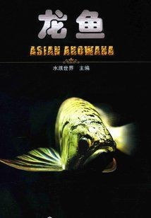 龍魚風(fēng)水小說|關(guān)于龍魚題材的風(fēng)水小說創(chuàng)作