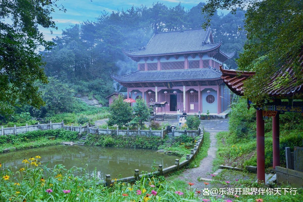 獅子山龍魚店|江西宜春安義縣獅子山龍魚店有哪些特色品種