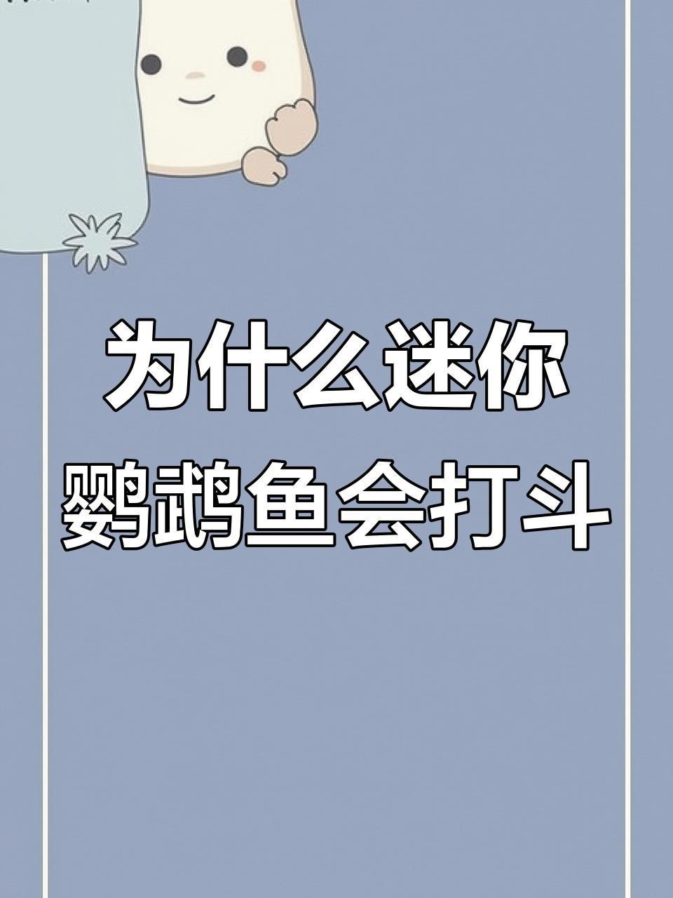 迷你鸚鵡魚一只總追另一只|迷你鸚鵡魚出現追逐行為怎么辦